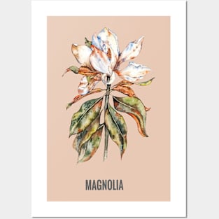 Large white magnolia Posters and Art